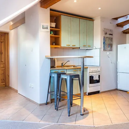 Small Cozy Attic Located Near City Center Apartment *